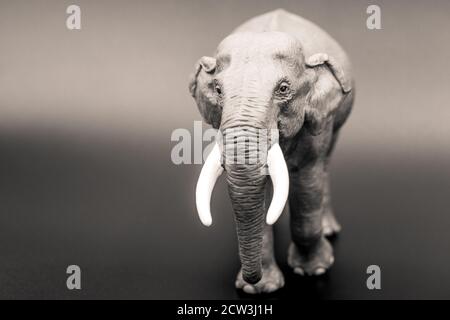 Gros plan d'un éléphant jouet pris en noir et blanc Banque D'Images