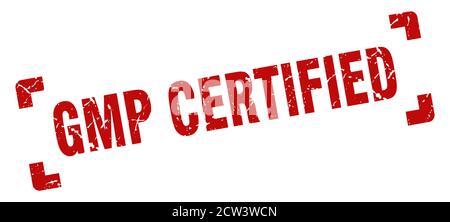 timbre certifié gmp. signe carré de grunge sur fond blanc Illustration de Vecteur