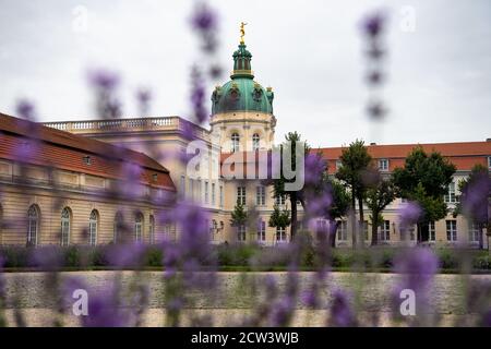 Berlin, Allemagne. 27 septembre 2020. Derrière les fleurs, vous pouvez voir le palais de Charlottenburg. Credit: Paul Zinken/dpa/Alay Live News Banque D'Images