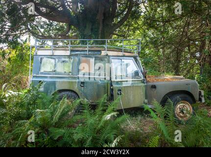 Lauragh, Kerry, Irlande. 27 septembre 2020. Un ancien Land Rover désarroi est parti dans les bois de Lauragh, Co. Kerry, Irlande. - crédit; David Creedon / A Banque D'Images