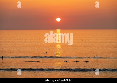 Le surf au coucher du soleil Banque D'Images