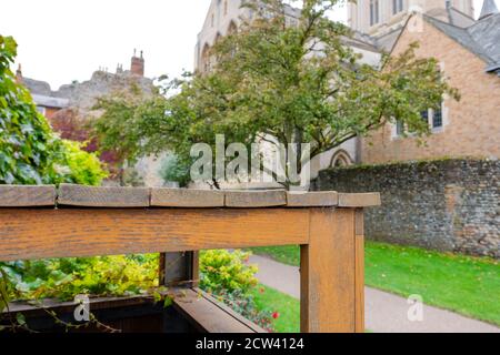 Foyer peu profond d'un bac à litière en bois vu à proximité de la frontière d'un ancien mur de silex à proximité et de la cathédrale anglaise. Banque D'Images