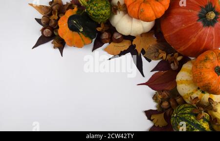 mélange décoratif de citrouilles de couleur Banque D'Images