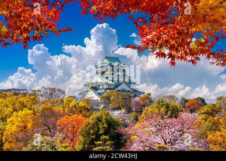 Saisons d'automne et château à Osaka, Japon. Banque D'Images