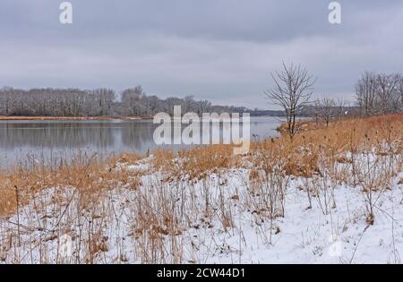 Neige au début du printemps sur les graminées des Prairies à Ned Brown Conserver dans l'Illinois Banque D'Images