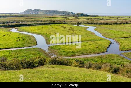 Rhynes de drainage au niveau Somerset en regardant vers Brean Down Près de Weston super Mare UK Banque D'Images