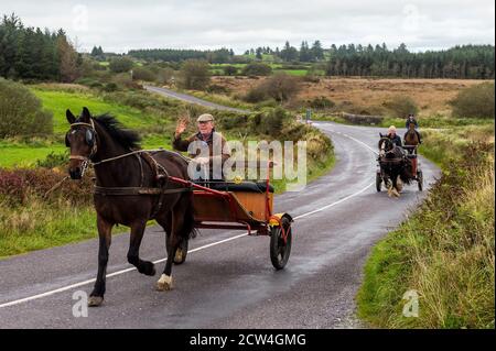 LEAP, West Cork, Irlande. 27 septembre 2020. Certains chevaux s'étirent les jambes sur les routes de campagne près de Leap, West Cork, par une journée chaude mais bruzzly. Crédit : AG News/Alay Live News Banque D'Images