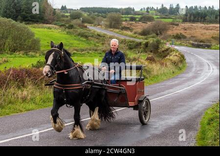 LEAP, West Cork, Irlande. 27 septembre 2020. Certains chevaux s'étirent les jambes sur les routes de campagne près de Leap, West Cork, par une journée chaude mais bruzzly. Crédit : AG News/Alay Live News Banque D'Images