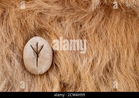 Algiz Nordic pierre rune sur fourrure. Lettre Eolh de l'alphabet viking. Banque D'Images
