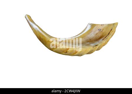 Corne de shofar isolée sur blanc.Yom Kippour, Rosh Hashanah symbole juif de vacances. Banque D'Images