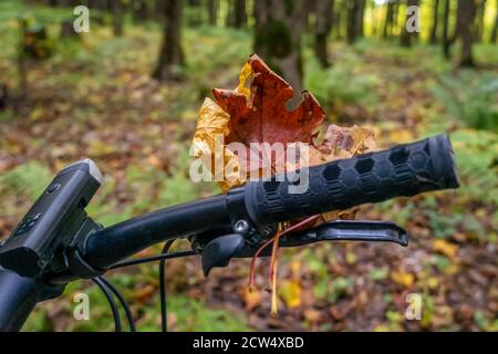 feuille d'érable rouge orange sur le guidon noir de la moto de vitesse en forêt d'automne gros plan Banque D'Images