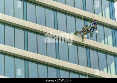 Deux travailleurs lavent les fenêtres d'un bâtiment en verre de grande hauteur. Travail en hauteur, alpinisme industriel Banque D'Images
