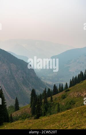 Vue sur la chaîne de montagnes Elk Mountain, le long du four Pass Loop près d'Aspen, Colorado, sur le chemin jusqu'au Trail Rider Pass pendant une journée brumeuse et enfumée d'été. Banque D'Images