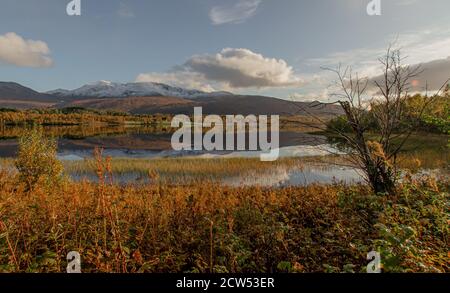 Lac sur un jour d'automne sans vent en Norvège Banque D'Images