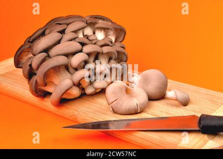 Champignons naturels comestibles, plateau de bambou et couteau de cuisine pour trancher, sur fond orange, champignons pour cuisiner et marinades, gros plan et c Banque D'Images