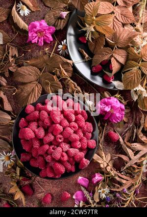 Framboises fraîches juteuses sur une assiette noire. Encore la vie avec, framboises, fleurs et herbes de prairie. Vue du dessus. Banque D'Images