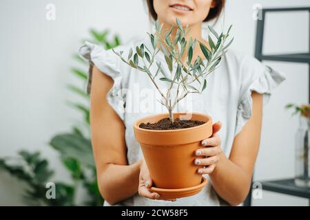 Image frontale d'une femme posant avec la plante en pot dans les mains. Moitié du visage Banque D'Images