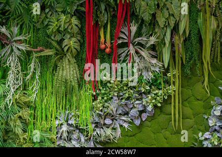 Fond de plantes vertes en plastique. Texture décorative artificielle. Banque D'Images
