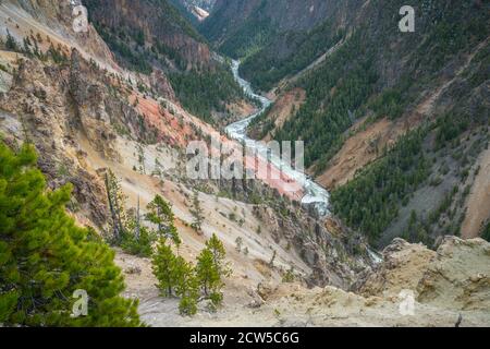 grand canyon de l'yellowston depuis le plateau nord vers wyoming aux états-unis Banque D'Images