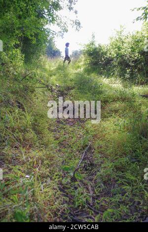 Plein format, lumière naturelle, couleur verte. Le jeune homme afro-américain est seul sur le chemin de la forêt, au soleil de l'heure d'or. Cadre idyllique, posture audacieuse. Banque D'Images