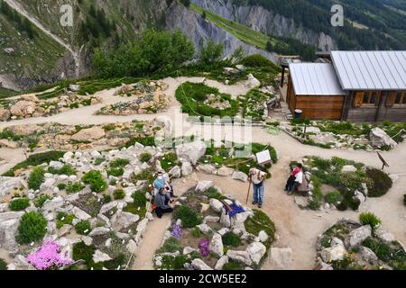 Vue imprenable sur le jardin botanique alpin de Saussurea (2173 m), l'un des plus hauts jardins naturels du monde, sur une crête du Mont blanc, Courmayeur, Italie Banque D'Images