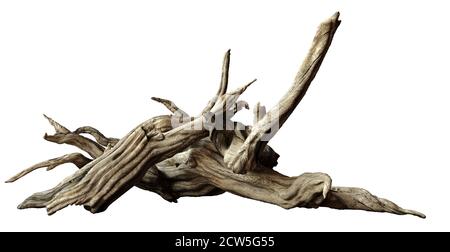 bois de driftwood isolé sur fond blanc, anciennes branches Banque D'Images