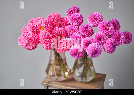 Dahlias lilas et roses dans un pot en verre, sur fond de mur neutre. Le travail du fleuriste dans un fleuriste. Joli bouquet frais. Livraison de fleurs Banque D'Images