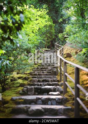 Escalier en pierre menant à un passage à travers la forêt Banque D'Images