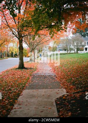 Quartier de banlieue en automne avec boîte aux lettres et feuilles d'orange Banque D'Images