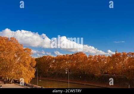 Automne et feuillage à Rome. Belles feuilles automnales le long du Tibre dans le centre historique de la ville (avec espace copie ci-dessus) Banque D'Images