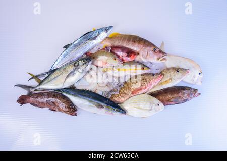 poisson-frais-caraïbes-fruits-de-mer-isolés-sur-fond-blanc Banque D'Images