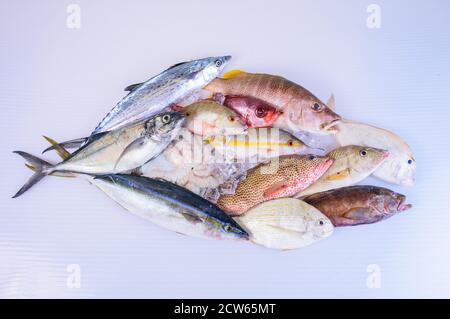 poisson-frais-caraïbes-fruits-de-mer-isolés-sur-fond-blanc Banque D'Images