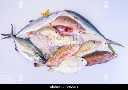 poisson-frais-caraïbes-fruits-de-mer-isolés-sur-fond-blanc Banque D'Images