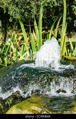 petite fontaine à boire sortant du sommet d'un rocher Banque D'Images