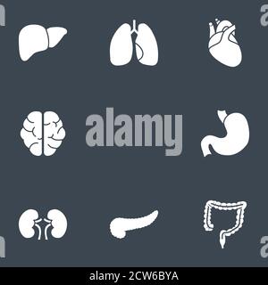 Les organes internes les icônes des glyphes Illustration de Vecteur
