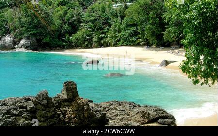 Plage, île de Mahé, Seychelles Banque D'Images