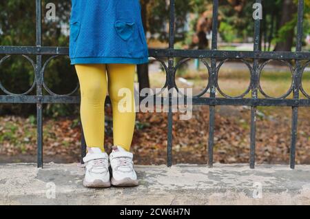 Enfants adorables dans le parc d'automne. Pieds de l'enfant. Collants jaunes et robe bleue. Banque D'Images