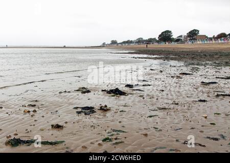 Huttes de plage colorées sur Mersea Isand Essex, Angleterre Banque D'Images