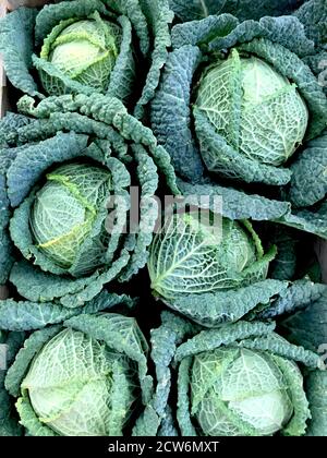 Un cadre plein de nourriture de fond des chefs de Savoie Chou emballé sur une stalle de marché avec espace de copie Banque D'Images