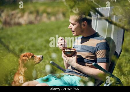 Chien mendiant à manger. Nova Scotia Duck Tolling Retriever observer son propriétaire d'animal de compagnie pendant manger dans le jardin. Banque D'Images