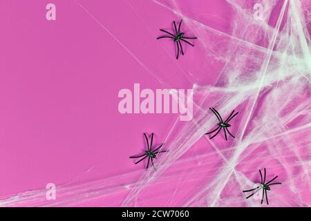 Toile d'araignée et araignées en plastique sur le côté droit du rose Arrière-plan Halloween avec espace de copie vide Banque D'Images