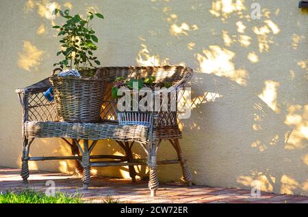 Encore la vie. Jeu de lumière et d'ombre. Vieux banc en rotin avec les mêmes pots de fleurs en rotin avec des plantes vertes sur un fond de mur jaune. Jardin. Banque D'Images