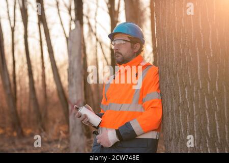 Technicien forestier étiquetant le tronc d'arbre pour la coupe dans le processus de déforestation, forester vaporiser peinture bois avec aérosol peut peindre Banque D'Images