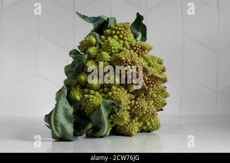 tête entière de chou-fleur de romesco cru ou de brocoli avec feuilles sur un comptoir de cuisine blanc avec un chevron blanc dosseret de carreaux avec lumière naturelle Banque D'Images