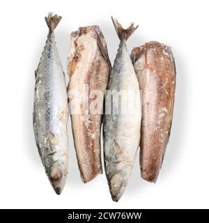 Maquereau et merlu congelés isolés sur fond blanc. Assortiment de poissons congelés. Groupe de carcasses de poissons. Vue de dessus. Banque D'Images