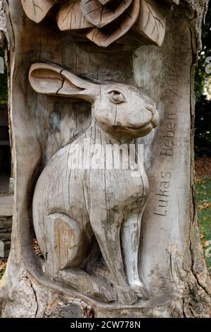 Détail lièvre en bois sculpté à la base d'une grande sculpture de tronc d'arbre à Friary Gardens, Richmond, North Yorkshire, Angleterre par le sculpteur Lucas Beben Banque D'Images