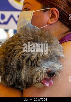 Manille. 28 septembre 2020. Une femme porte son chien en attendant un vaccin gratuit contre la rage à Manille, aux Philippines, le 28 septembre 2020. La Journée mondiale de la rage est célébrée le 28 septembre afin de sensibiliser les animaux de compagnie à la prévention de la rage. Crédit: Rouelle Umali/Xinhua/Alamy Live News Banque D'Images
