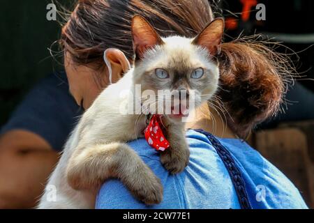 Manille. 28 septembre 2020. Une femme porte son chat en attendant un vaccin gratuit contre la rage à Manille, aux Philippines, le 28 septembre 2020. La Journée mondiale de la rage est célébrée le 28 septembre afin de sensibiliser les animaux de compagnie à la prévention de la rage. Crédit: Rouelle Umali/Xinhua/Alamy Live News Banque D'Images