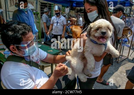 Manille. 28 septembre 2020. Un chien de compagnie reçoit gratuitement un vaccin contre la rage à Manille, aux Philippines, le 28 septembre 2020. La Journée mondiale de la rage est célébrée le 28 septembre afin de sensibiliser les animaux de compagnie à la prévention de la rage. Crédit: Rouelle Umali/Xinhua/Alamy Live News Banque D'Images