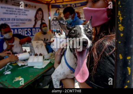 Manille. 28 septembre 2020. Une femme porte son chien en attendant un vaccin gratuit contre la rage à Manille, aux Philippines, le 28 septembre 2020. La Journée mondiale de la rage est célébrée le 28 septembre afin de sensibiliser les animaux de compagnie à la prévention de la rage. Crédit: Rouelle Umali/Xinhua/Alamy Live News Banque D'Images
